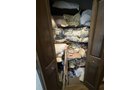 Property photo 117 - PERSONAL PROPERTY AUCTION IN SPENCERVILLE, INDIANA-ALLEN COUNTY IN