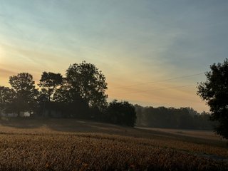 Property photo 7 - LAND AUCTION OFFERED IN 6 TRACTS IN WAYNE COUNTY INDIANA