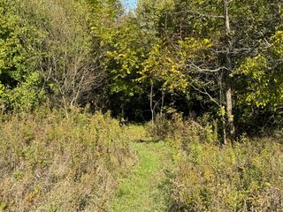 Property photo 49 - LAND AUCTION OFFERED IN 6 TRACTS IN WAYNE COUNTY INDIANA