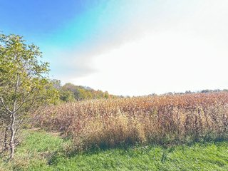 Property photo 45 - LAND AUCTION OFFERED IN 6 TRACTS IN WAYNE COUNTY INDIANA