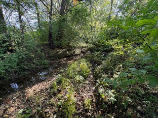 Property photo 53 - LAND AUCTION OFFERED IN 6 TRACTS IN WAYNE COUNTY INDIANA