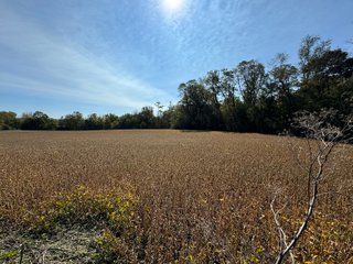 Property photo 59 - LAND AUCTION OFFERED IN 6 TRACTS IN WAYNE COUNTY INDIANA