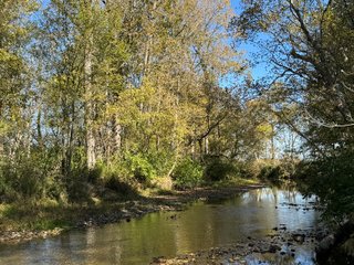 Property photo 18 - LAND AUCTION OFFERED IN 6 TRACTS IN WAYNE COUNTY INDIANA