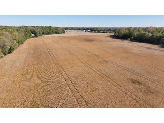 Property photo 10 - LAND AUCTION OFFERED IN 6 TRACTS IN WAYNE COUNTY INDIANA