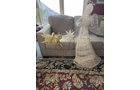 Property photo 78 - PERSONAL PROPERTY AUCTION IN ALLEN COUNTY INDIANA