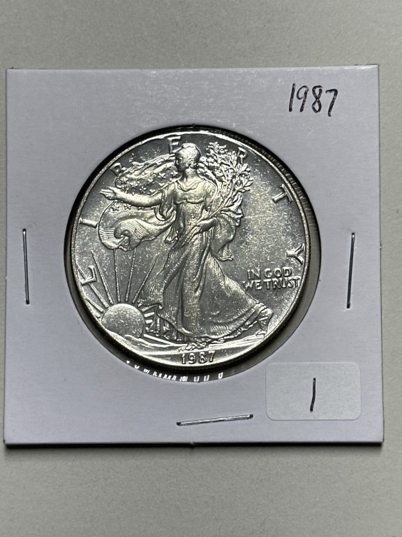 Property photo 56 - COIN AUCTION IN ALLEN COUNTY INDIANA