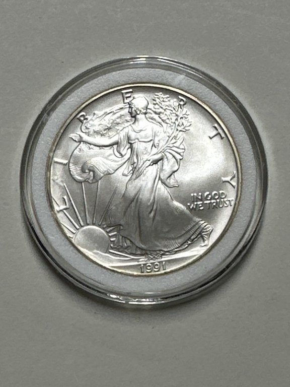 Property photo 73 - COIN AUCTION IN ALLEN COUNTY INDIANA