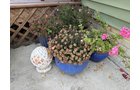 Property photo 230 - PERSONAL PROPERTY AUCTION IN NOBLE COUNTY INDIANA