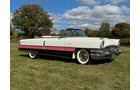 Property photo 132 - CLASSIC CAR AUCTION IN ALLEN COUNTY INDIANA
