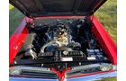 Property photo 217 - CLASSIC CAR AUCTION IN ALLEN COUNTY INDIANA