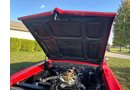 Property photo 233 - CLASSIC CAR AUCTION IN ALLEN COUNTY INDIANA