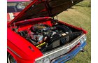 Property photo 325 - CLASSIC CAR AUCTION IN ALLEN COUNTY INDIANA