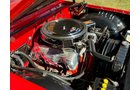 Property photo 326 - CLASSIC CAR AUCTION IN ALLEN COUNTY INDIANA