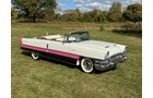 Property photo 133 - CLASSIC CAR AUCTION IN ALLEN COUNTY INDIANA