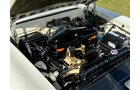 Property photo 138 - CLASSIC CAR AUCTION IN ALLEN COUNTY INDIANA