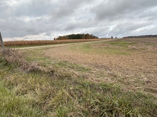 Property photo 21 - 165+/- ACRES OFFERED IN 5 TRACTS IN DEKALB COUNTY INDIANA