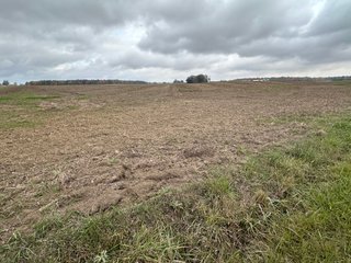 Property photo 31 - 165+/- ACRES OFFERED IN 5 TRACTS IN DEKALB COUNTY INDIANA