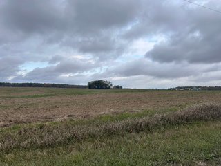 Property photo 26 - 165+/- ACRES OFFERED IN 5 TRACTS IN DEKALB COUNTY INDIANA