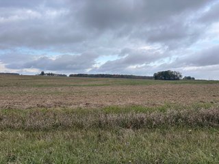 Property photo 27 - 165+/- ACRES OFFERED IN 5 TRACTS IN DEKALB COUNTY INDIANA