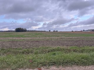 Property photo 29 - 165+/- ACRES OFFERED IN 5 TRACTS IN DEKALB COUNTY INDIANA