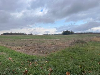 Property photo 22 - 165+/- ACRES OFFERED IN 5 TRACTS IN DEKALB COUNTY INDIANA