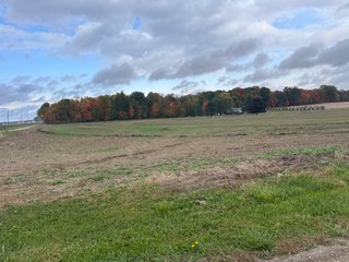 Property photo 35 - 165+/- ACRES OFFERED IN 5 TRACTS IN DEKALB COUNTY INDIANA