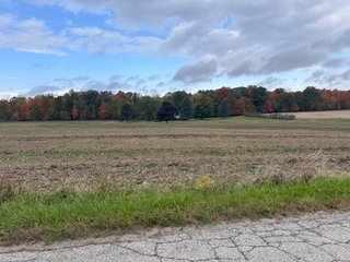Property photo 37 - 165+/- ACRES OFFERED IN 5 TRACTS IN DEKALB COUNTY INDIANA
