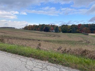 Property photo 7 - 165+/- ACRES OFFERED IN 5 TRACTS IN DEKALB COUNTY INDIANA