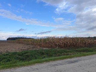 Property photo 15 - 165+/- ACRES OFFERED IN 5 TRACTS IN DEKALB COUNTY INDIANA