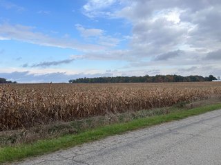 Property photo 18 - 165+/- ACRES OFFERED IN 5 TRACTS IN DEKALB COUNTY INDIANA
