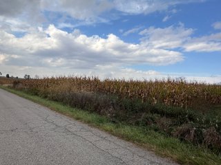 Property photo 19 - 165+/- ACRES OFFERED IN 5 TRACTS IN DEKALB COUNTY INDIANA