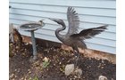 Property photo 78 - TIMED ONLINE ONLY PERSONAL PROPERTY AUCTION IN WHITLEY COUNTY INDIANA