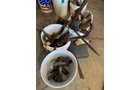 Property photo 282 - PERSONAL PROPERTY AUCTION - ALLEN COUNTY IN