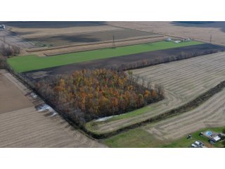 Property photo 4 - LAND AUCTION - 139+/- ACRES OFFERED IN 3 TRACTS IN ST. JOSEPH COUNTY, INDIANA