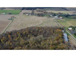 Property photo 9 - LAND AUCTION - 139+/- ACRES OFFERED IN 3 TRACTS IN ST. JOSEPH COUNTY, INDIANA