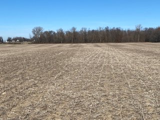 Property photo 15 - LAND AUCTION - 139+/- ACRES OFFERED IN 3 TRACTS IN ST. JOSEPH COUNTY, INDIANA