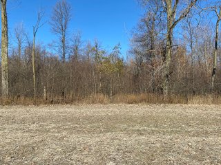 Property photo 16 - LAND AUCTION - 139+/- ACRES OFFERED IN 3 TRACTS IN ST. JOSEPH COUNTY, INDIANA