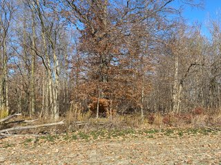 Property photo 17 - LAND AUCTION - 139+/- ACRES OFFERED IN 3 TRACTS IN ST. JOSEPH COUNTY, INDIANA