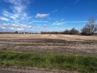 Property photo 18 - LAND AUCTION - 139+/- ACRES OFFERED IN 3 TRACTS IN ST. JOSEPH COUNTY, INDIANA