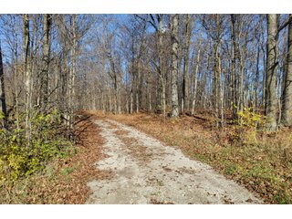 Property photo 3 - REAL ESTATE AUCTION - 30+/- ACRES OFFERED IN 2 TRACTS IN ALLEN COUNTY, INDIANA