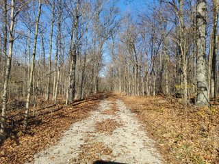 Property photo 5 - REAL ESTATE AUCTION - 30+/- ACRES OFFERED IN 2 TRACTS IN ALLEN COUNTY, INDIANA