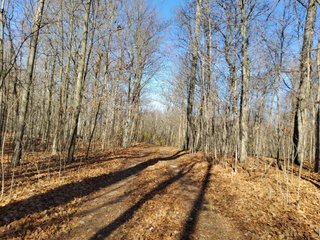 Property photo 7 - REAL ESTATE AUCTION - 30+/- ACRES OFFERED IN 2 TRACTS IN ALLEN COUNTY, INDIANA