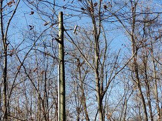 Property photo 9 - REAL ESTATE AUCTION - 30+/- ACRES OFFERED IN 2 TRACTS IN ALLEN COUNTY, INDIANA