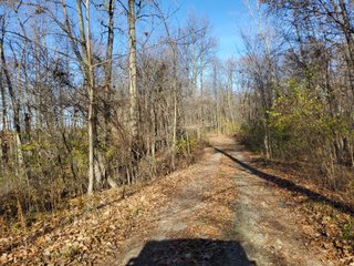 Property photo 10 - REAL ESTATE AUCTION - 30+/- ACRES OFFERED IN 2 TRACTS IN ALLEN COUNTY, INDIANA
