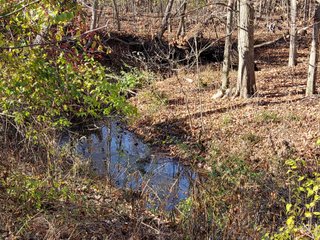 Property photo 13 - REAL ESTATE AUCTION - 30+/- ACRES OFFERED IN 2 TRACTS IN ALLEN COUNTY, INDIANA