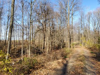 Property photo 14 - REAL ESTATE AUCTION - 30+/- ACRES OFFERED IN 2 TRACTS IN ALLEN COUNTY, INDIANA