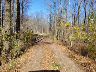 Property photo 15 - REAL ESTATE AUCTION - 30+/- ACRES OFFERED IN 2 TRACTS IN ALLEN COUNTY, INDIANA