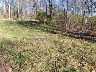 Property photo 16 - REAL ESTATE AUCTION - 30+/- ACRES OFFERED IN 2 TRACTS IN ALLEN COUNTY, INDIANA