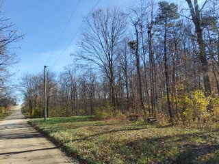 Property photo 20 - REAL ESTATE AUCTION - 30+/- ACRES OFFERED IN 2 TRACTS IN ALLEN COUNTY, INDIANA