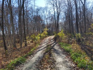 Property photo 23 - REAL ESTATE AUCTION - 30+/- ACRES OFFERED IN 2 TRACTS IN ALLEN COUNTY, INDIANA